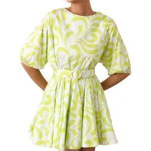 NEW PROSPERINA fallon swing dress in brush strokes print